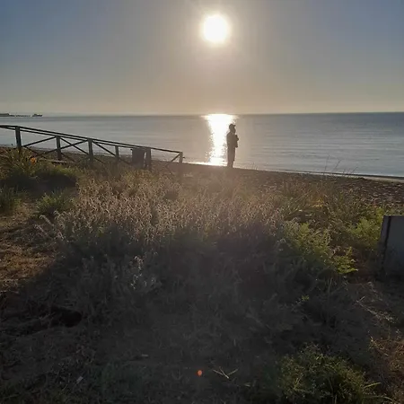 Long Life Iskele Trikomo